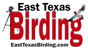 East Texas Birding - Birding IDs